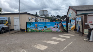 Blog 532 11 June 2026