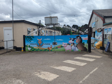 Blog 532 11 June 2026