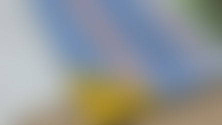 Blog 503 6th November 2025