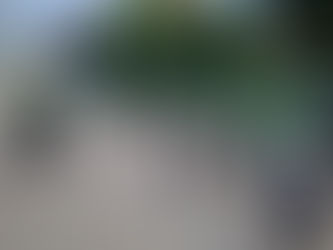 Blog 490 31 July 2025