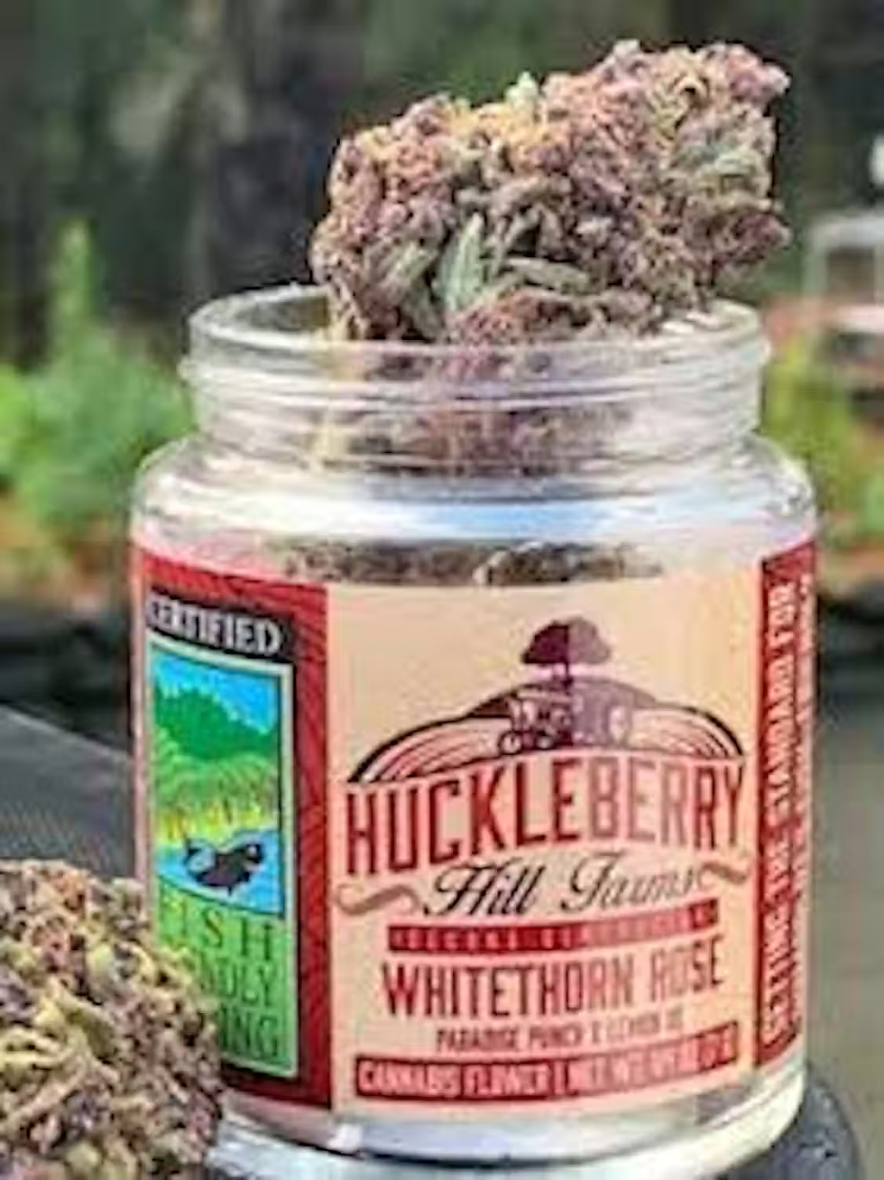 Whitethorn Rose: The Rosé of Cannabis 🌹
