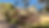 IMG_4770.jpeg