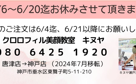 KINUYASHOP6月休業期間のお知らせ