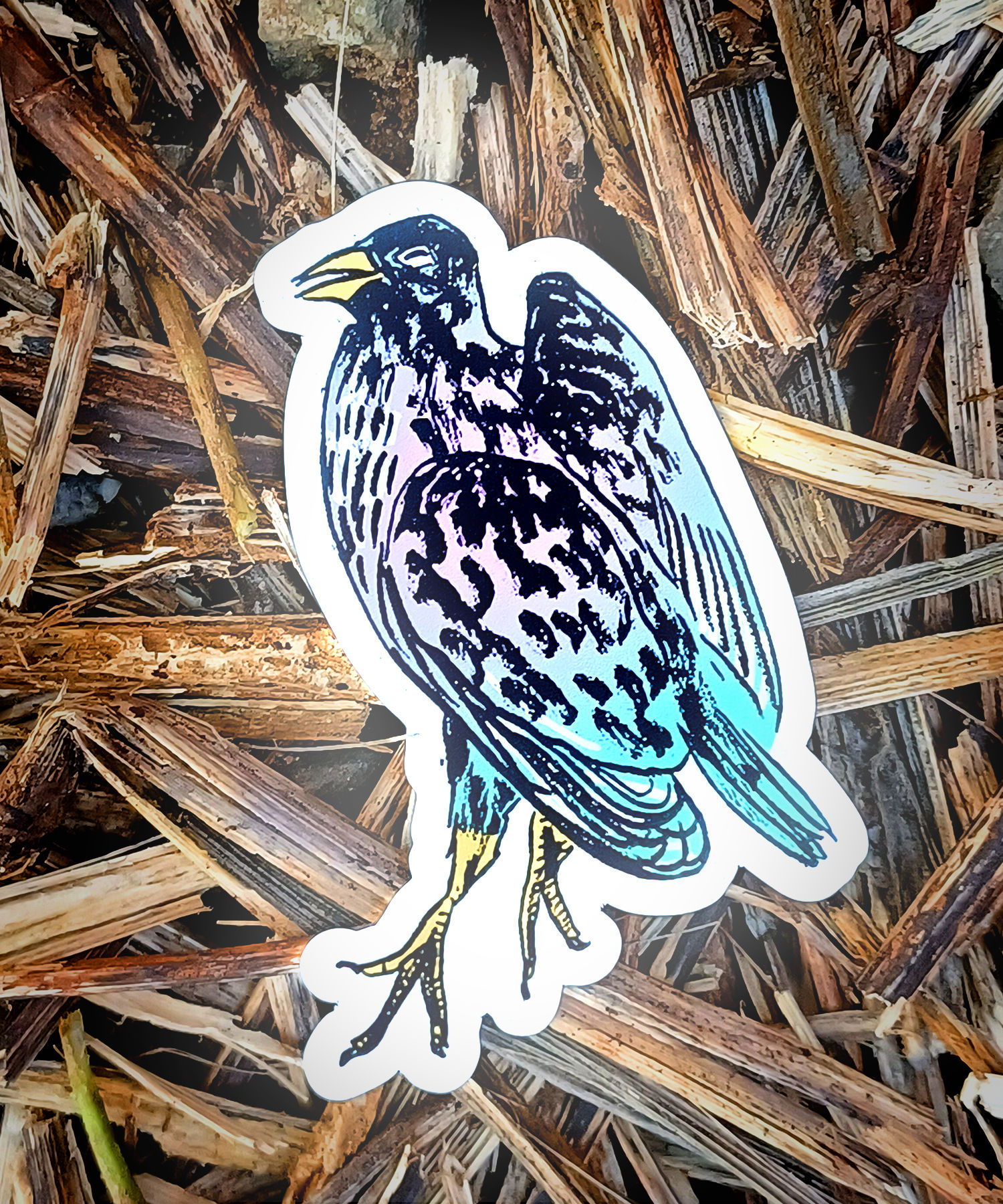 DEAD PICHÓN (magnet)