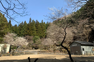 ドッグラン,ドッグパークFORESTRIP