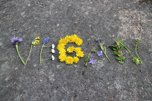Titelbild mit dem Wort "VEGAN", gelegt aus Blumen, Blättern und kleinen Naturmaterialien auf einem Betonboden