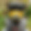 Thumbnail: Boush Armour