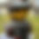 Thumbnail: Boush Armour
