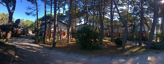 IMG_4099.jpeg
