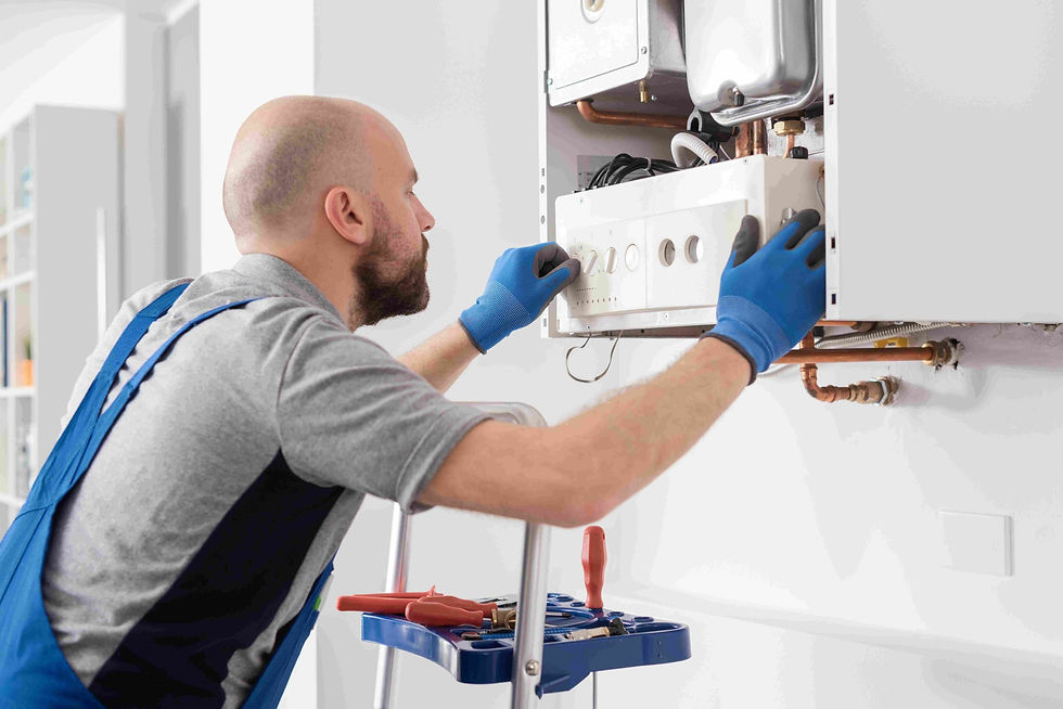 Specialist repairing boiler