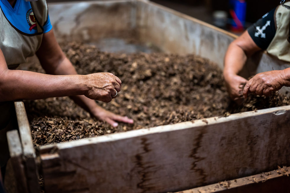 Circularidad y la medición de carbono: Un caso de éxito en gestión de residuos orgánicos 🌱🍃