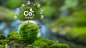 Environment (Reduction of Greenhouse Gases Emission) Ordinance, 2023 (Cap 85)