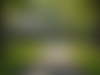 What Set Free Recovery Services Offer in Prince George