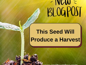 This Seed Will Produce a Harvest