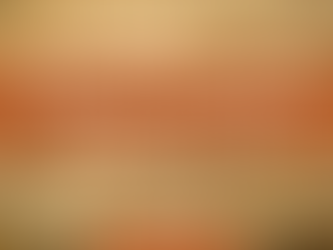  A Flimsy Foundation Will Surely Fall 