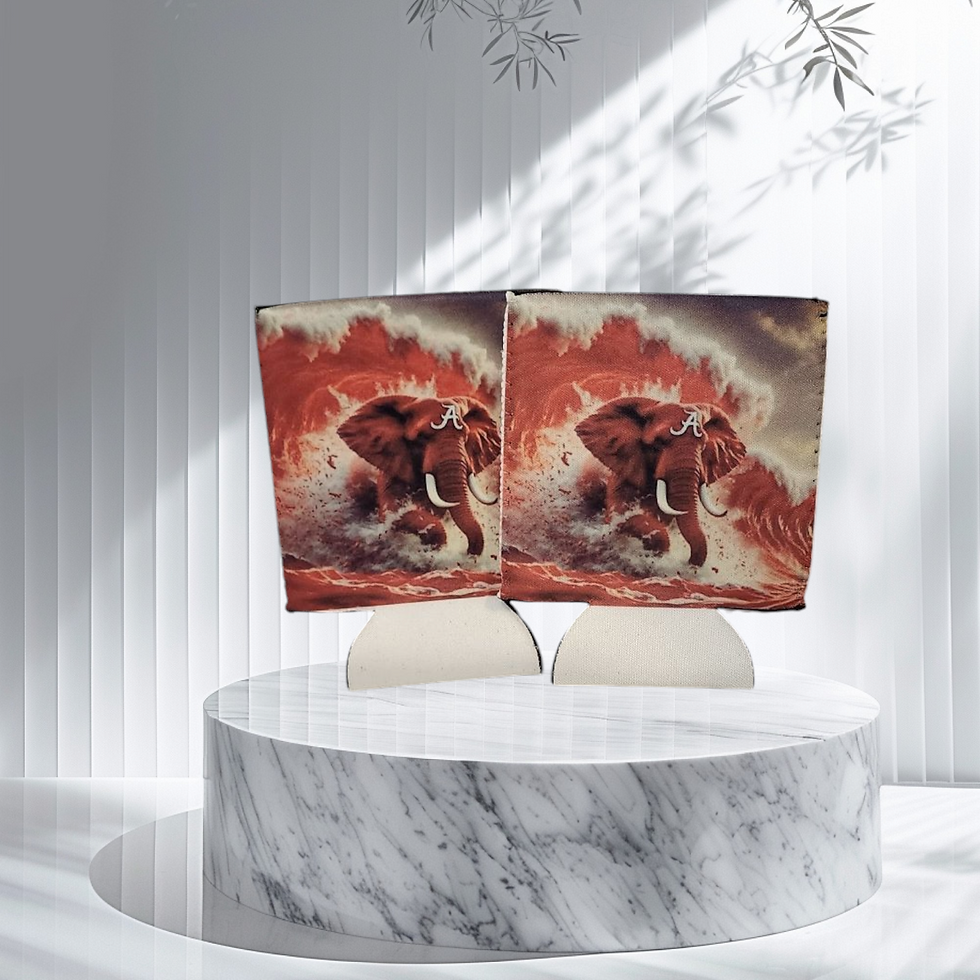 Can Cooler Koozie's (2)