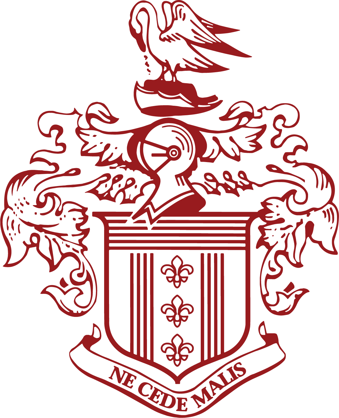 x7urmkvaplxlw2hf3gmg.webp