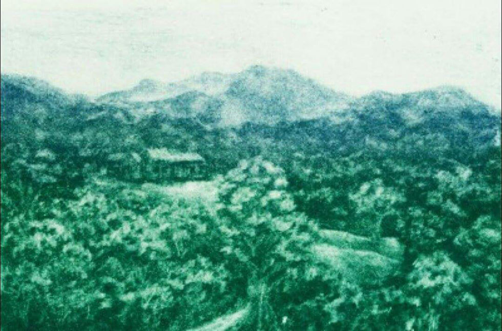 Mezzotint