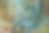 StephQKingCover.png