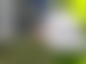 Occupazione e Sicurezza