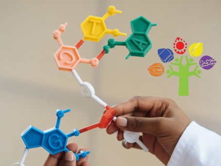 The Best STEM & STEAM Daycares in Guam: Why Families Choose The Giving Tree