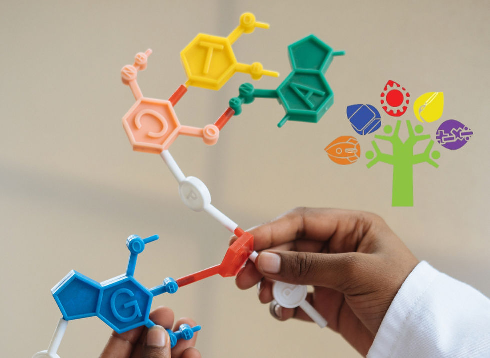 The Best STEM & STEAM Daycares in Guam: Why Families Choose The Giving Tree