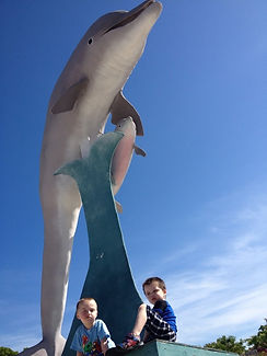 Dolphin Research Center