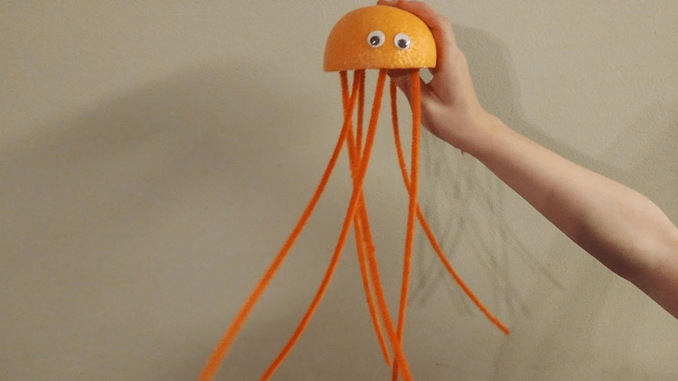 orange jellyfish