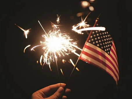 4th of July Fireworks…The Root of Dog Terrors