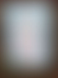 Free Christmas Lunch