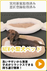 BMP_20191121114631.gif