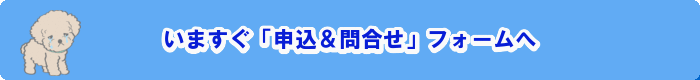 BMP_20200410120305.gif