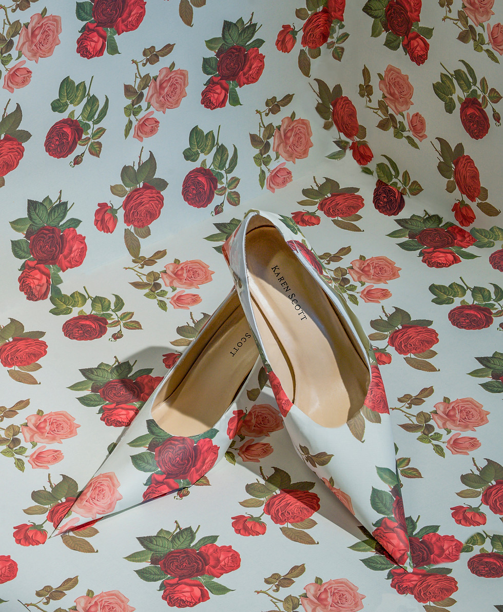 Abbonizio_SHOEScropped and colored.jpg