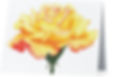 Yellow Rose Card