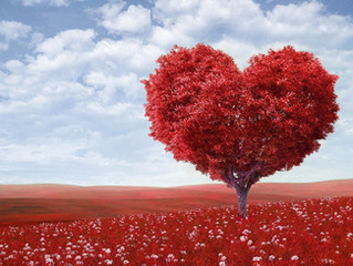 5 Heart Healthy Tips for Seniors