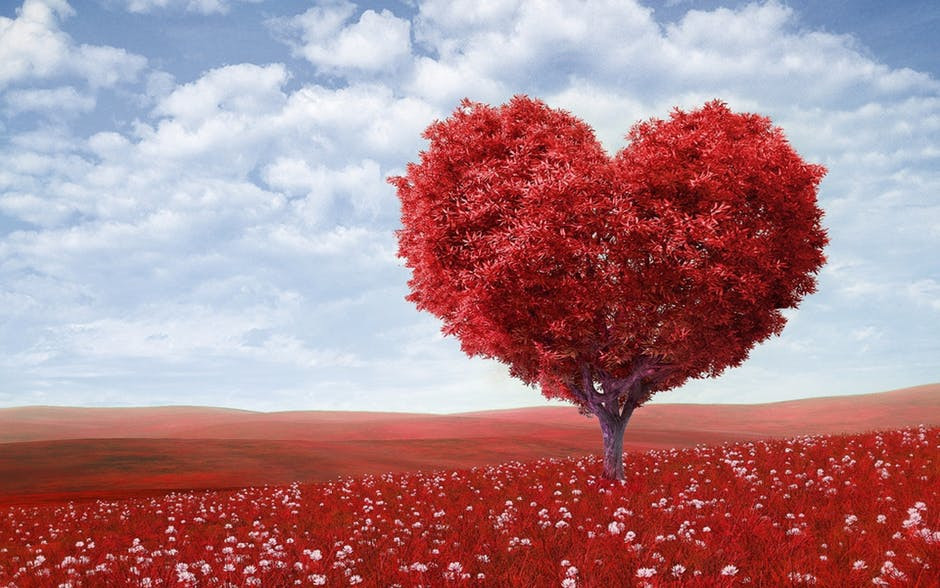 Heart Health Tips for Seniors - Grand Senior Living