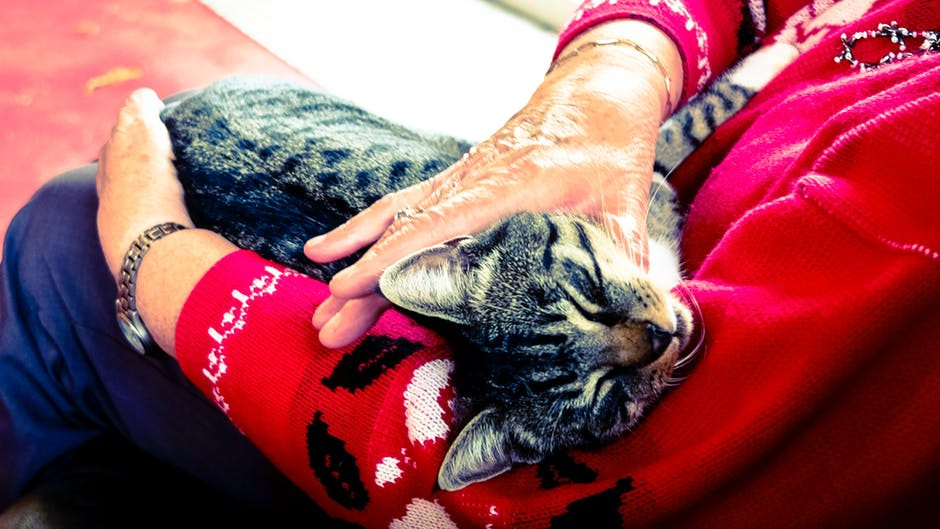 Grand Senior Living - pet companionship
