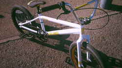 Des vélos et encore des vélos !