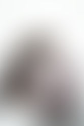 Sea Moss Tips, Tricks, & Recipes