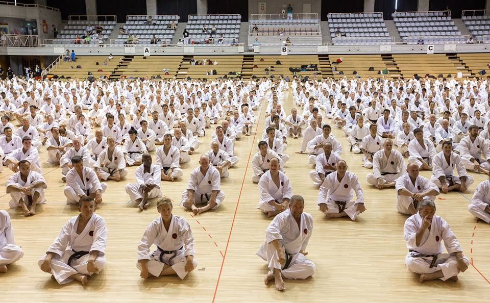 14650201_1064918770271796_8861645572642510139_n