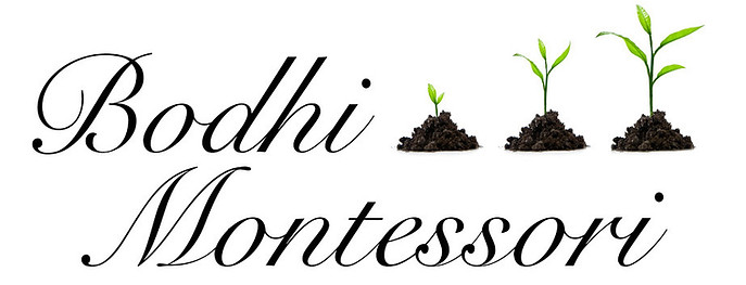 BodhiMontessori_clean_small.jpg