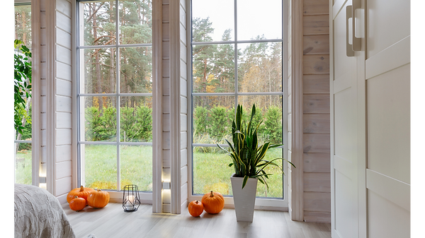 looking outside of a window