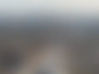 Kensington Property Market Update: What Buyers and Borrowers Should Know in 2026