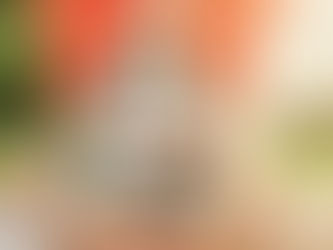 WHAT RISING INTEREST RATES MEAN FOR THE AVERAGE ONTARIAN HOMEOWNER