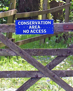 34484172292_16e873274d_o (2).jpg