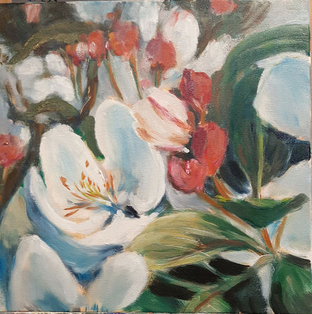 gros plan fleurs de malus