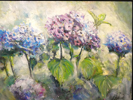 MASSIF HORTENSIAS