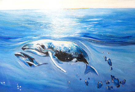 baleine et son petit