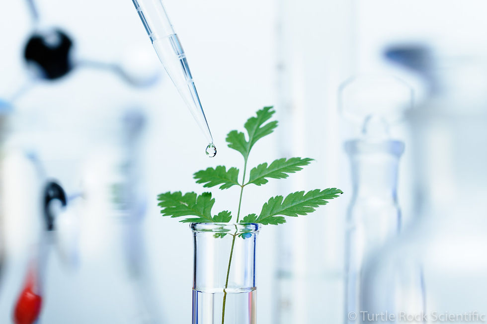 Biotechnology research