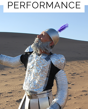 FIORELLO PERFORMANCE.png